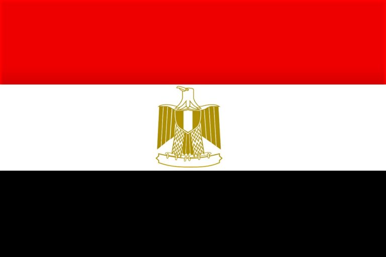 Egypte: Abdel Fattah Al Sissi se présente aux élections présidentielles du 10 décembre