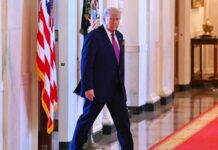 Diesel, Iran e Ucraina : cosa c’è davvero dietro le mosse di Trump